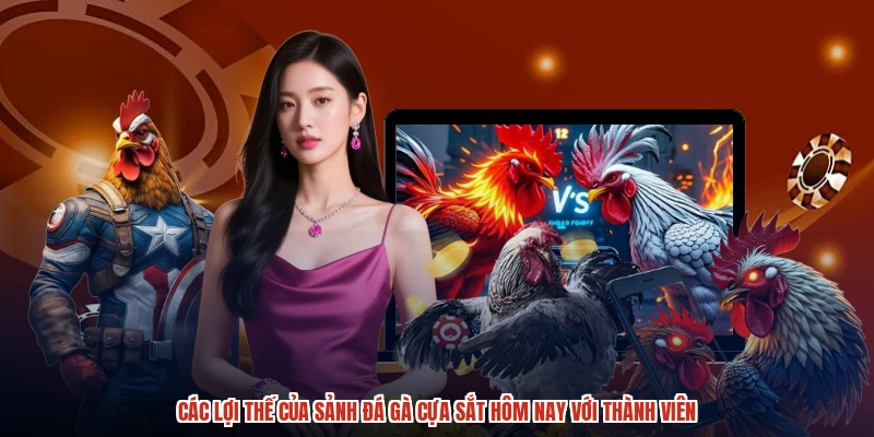Các lợi thế của sảnh đá gà cựa sắt hôm nay với thành viên Các lợi thế của sảnh đá gà cựa sắt hôm nay với thành viên