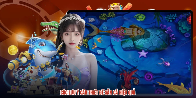 Các lưu ý cần thiết để săn cá hiệu quả