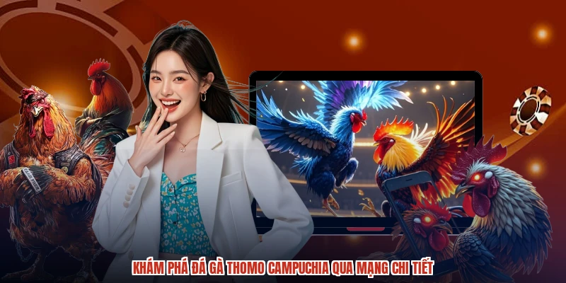 Khám phá đá gà thomo Campuchia qua mạng chi tiết