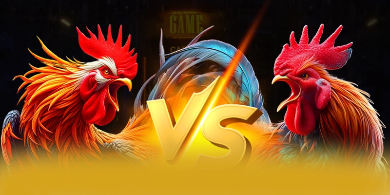 Chuong trinh thuong hap dan danh cho tat ca nguoi choi tai 8XBET